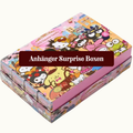 Anhäger Surprise Boxen